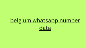 belgium whatsapp number data