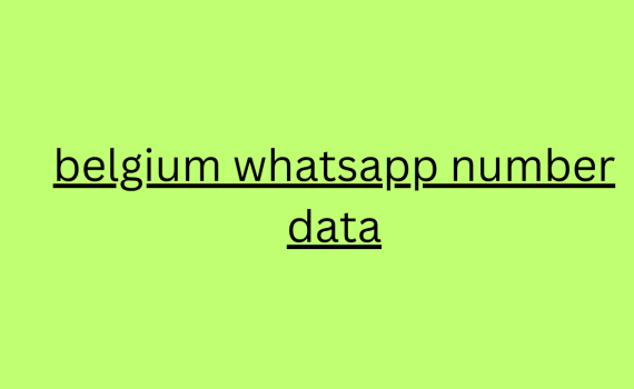 belgium whatsapp number data