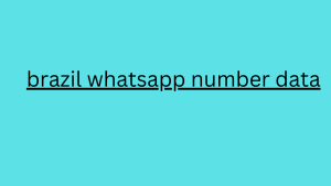 brazil whatsapp number data